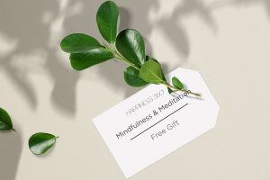 Clean minimal business card mockup on texture with leaves