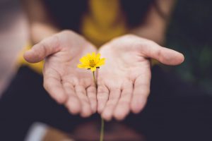 The Ultimate Guide To Rediscovering Light On Your Recovery Journey